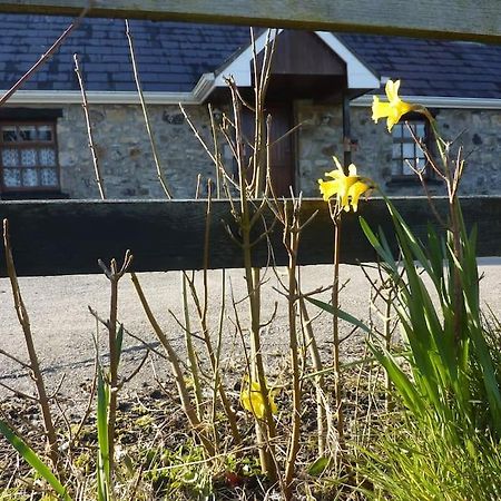 The Hill Cottage Galway Exterior foto