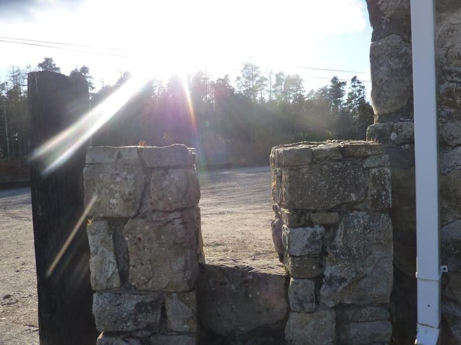 The Hill Cottage Galway Exterior foto